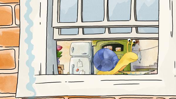 Bild 1 von 6: Schnecki freut sich über ein Teller mit Wasser zur Abkühlung.