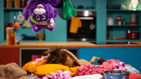 Bild 1 von 4: MiWau versucht die Bonbons auf Moppis Schlafplatz zu klauen.