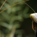 Abenteuer Wildnis