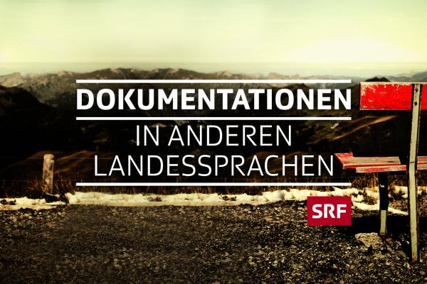 Bild 1 von 1: 