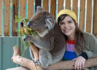Anna und die wilden Tiere