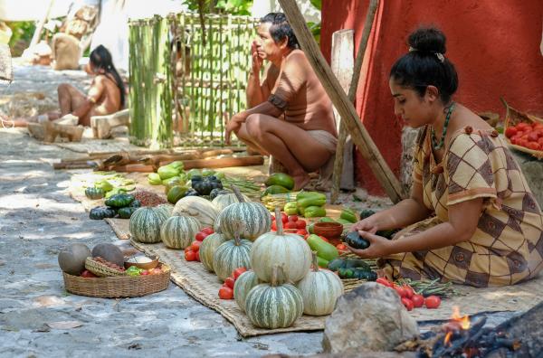 Bild 1 von 6: Gemüsestände auf dem Markt: Viele Obst- und Gemüsesorten haben wir den Maya zu verdanken.