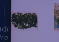 Border Patrol Südamerika: Der Fahrradkurier