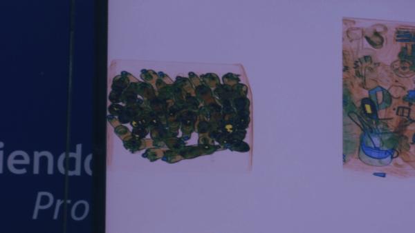 Bild 1 von 3: Das Röntgenbild zeigt ungewöhnliche Strukturen im Inneren eines Pakets und bestätigt den Verdacht auf illegale Inhalte.