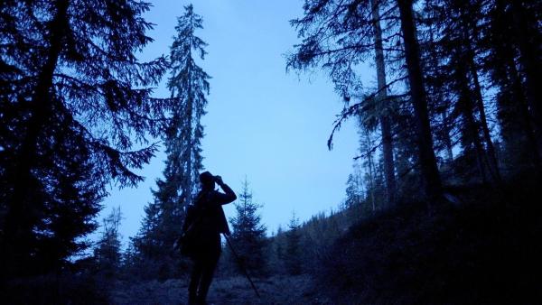 Bild 1 von 21: Im Bild: Bei der Auerhahnpirsch am frühen Morgen.