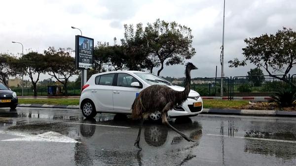 Bild 1 von 1: Sendungsbild