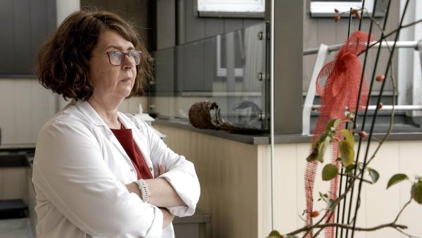 Bild 1 von 9: Im Bild: Christiane Schalk, Krankenhaus-Seelsorgerin im Krankenhaus Lilienfeld.