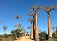 Unbekanntes Madagaskar