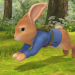 Peter Hase