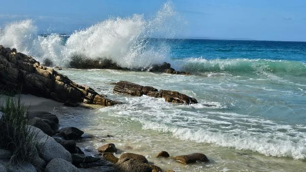 Bild 1 von 8: .
