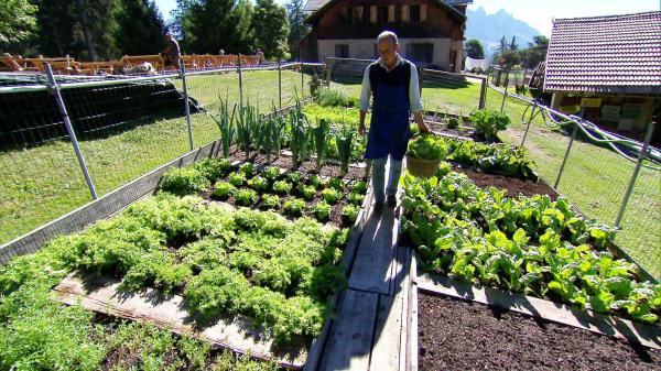 Bild 1 von 8: Im Bild: In einer Höhe von 1737m hat Josef Lunger einen Gemüsegarten angebaut, auf seine großen Salatköpfe ist er besonders stolz.