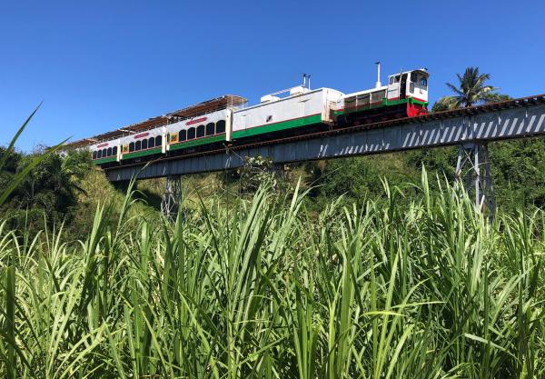 Bild 1 von 4: Die Scenic Railway von St. Kitts auf der letzten der vier langen Geländer losen Brücken.