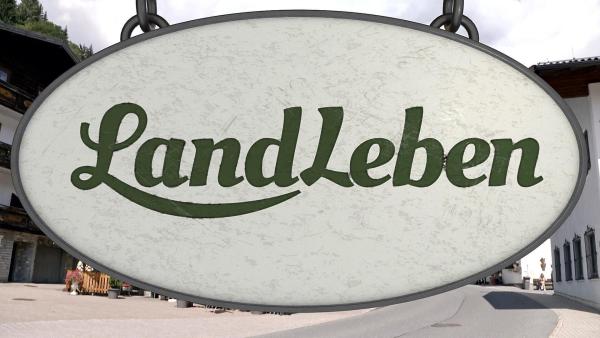 Bild 1 von 1: Landleben