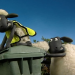 Shaun das Schaf