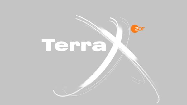 Bild 1 von 2: Terra X
