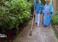 Hot oder Schrott - Die Allestester