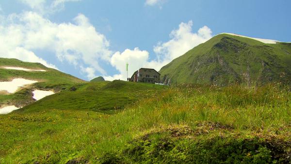 Bild 1 von 1: .