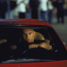 The Fast and the Furious