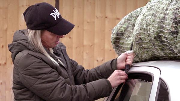 Bild 1 von 3: Nana schnürt den Baum auf das Autodach