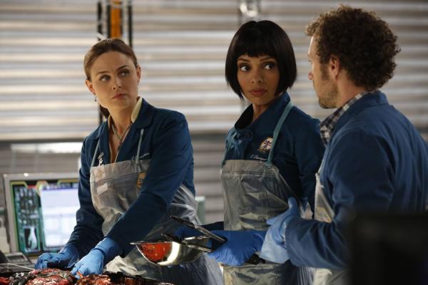 Bild 1 von 7: (v.l.n.r.) Temperance Brennan (Emily Deschanel); Camille Saroyan (Tamara Taylor); Jack Hodgins (T.J. Thyne)