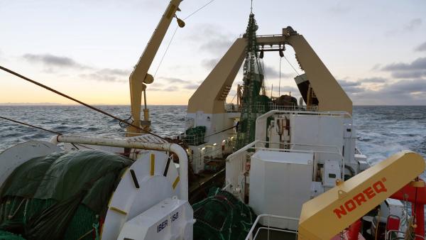 Bild 1 von 3: Die See ruft! Der Deutsche Fischerei-Verband e.V. zählt hierzulande etwa eine Million Mitglieder.