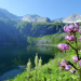 Lungau - Wildnis im Herzen der Tauern