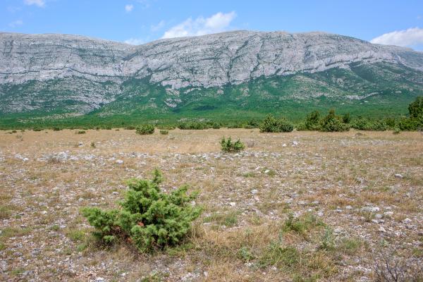 Bild 1 von 6: Im Naturpark Dinara besteht man auf der Bewahrung der Naturwerte, der reichen Geodiversität, der wilden Tier- und Pflanzenarten, der Endemiten und der gesamten Vielfalt natürlicher Lebensräume.