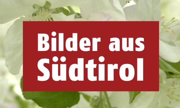 Bild 1 von 2: Bilder aus Südtirol