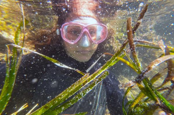 Bild 1 von 4: Ozeanologin Laura Royo unter Wasser auf einer Seegraswiese