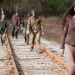 The Walking Dead