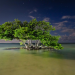 Everglades - Geheimnisvolle Wasserwildnis