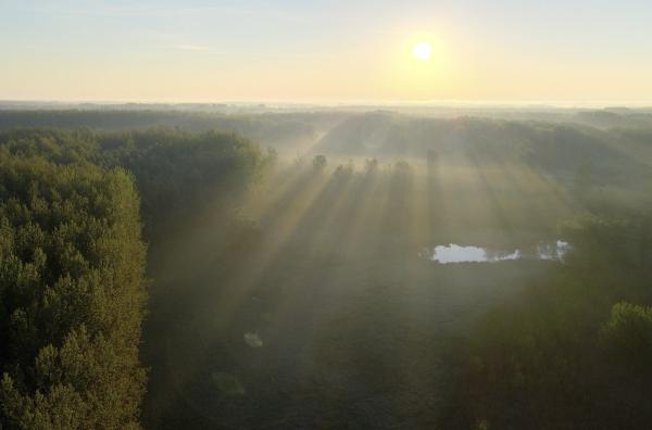 Bild 1 von 1: Die Landschaft entlang der Flüsse Drau und Donau wird von Feuchtgebieten und ausgedehnten Auwäldern geprägt.