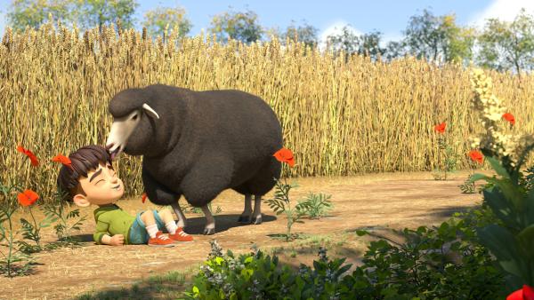 Bild 1 von 4: Kleiner Fuß und das Schaf \