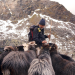 Land der Berge