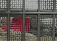 Border Patrol Südamerika: Falsches Spiel