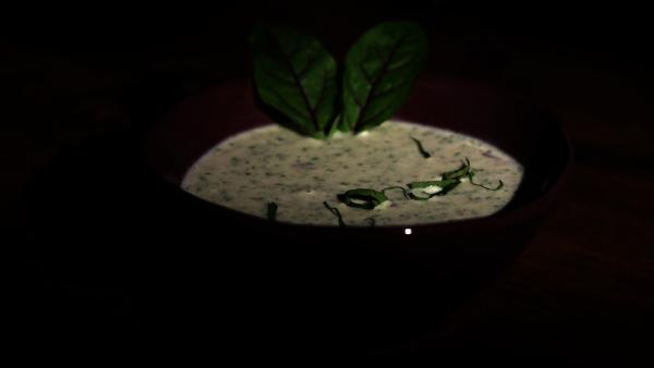 Bild 1 von 1: .