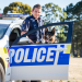 Hunde im Einsatz