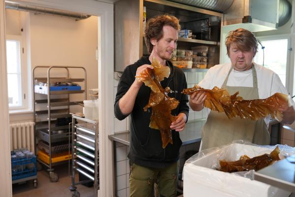 Bild 1 von 13: Simon Weber Marcussen und der Koch Claus Henriksen probieren regelmäßig Algengerichte aus dem heimischen Meeresgemüse aus.