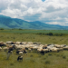 Zauberhaftes Albanien
