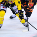 Eishockey ICE Hockey League 2025/2026