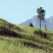 Abenteuer Wildnis