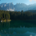 Tierwelt der Alpen