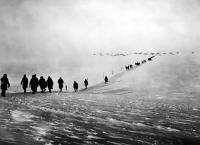 Gulag - Die sowjetische Hauptverwaltung der Lager