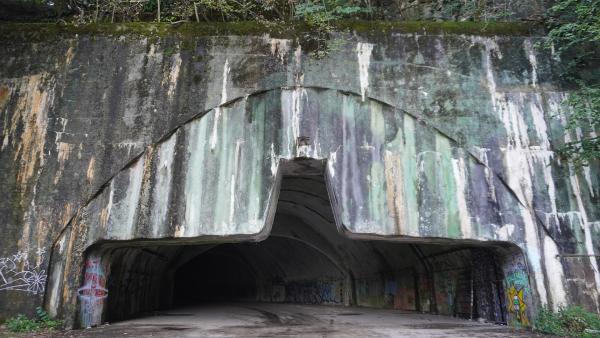 Bild 1 von 5: .