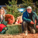 Zauberhafte Weihnacht im Land der