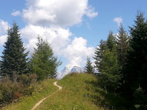 Bild 1 von 4: Wanderung auf den Almkopf in Biberwier.