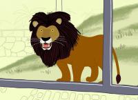 Peek Zoo