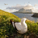 Lord Howe Island - Das gerettete Paradies