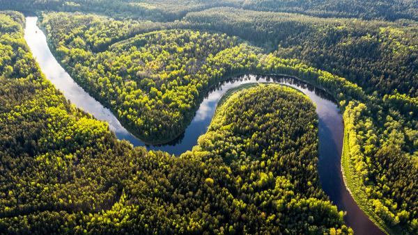 Bild 1 von 2: Der Amazonas-Regenwald befindet sich im Einzugsgebiet des Amazonas-Flusses und erstreckt sich über neun Staaten Südamerikas.