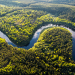 Geheimnisvolle Erde: Wälder